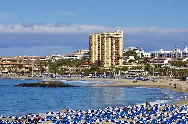 Torres Del Sol Διαμέρισμα *